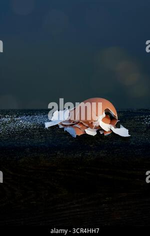 Cracked egg shell on a dark surface with a blue background. Stock Photo
