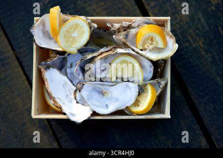 Fresh eaten oysters with lemon wedges in a wooden tray on a dark wooden surface. Stock Photo