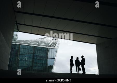 Three middle aged business professionals standing in modern urban setting, silhouettes engaged in conversation near glass office building, diverse group interacting outdoors Stock Photo