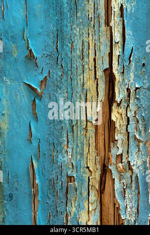 Faded blue wood shows signs of age with peeling paint, highlighting the textures and patterns associated with weathered materials. Stock Photo