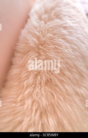 Close up of soft beige fluffy wool surface with cozy texture Stock Photo