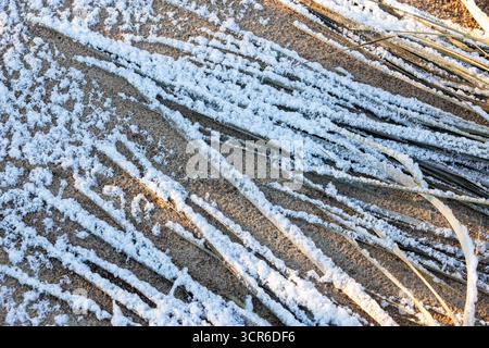 A close-up of frost on sand, showing diagonal snow-lined streaks and ice crystals. Evokes winter calm, natural texture, and abstract coastal patterns Stock Photo