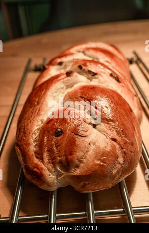 Freshly baked braided challah studded with sweet raisins, resting on a metal cooling rack with a shiny golden-brown crust, warm and rustic from the ho Stock Photo