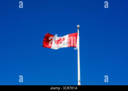 Canadian flag waving against clear blue sky, red maple leaf national flag of Canada on flagpole Stock Photo