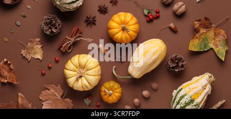 Pumpkins, different nuts, berries, spices and autumn leaves on brown background Stock Photo