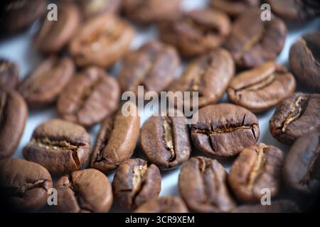 Close-up of freshly roasted coffee beans Stock Photo