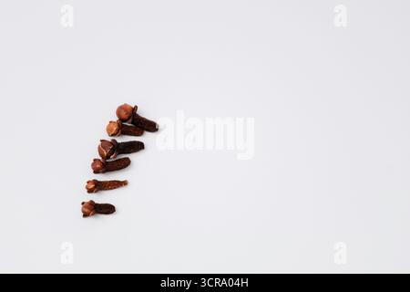 Close-up of dry clove buds isolated on white background Stock Photo