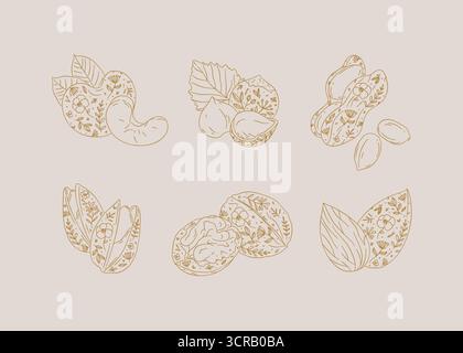 Nuts set almond, cashew, hazelnut, peanut, pistachio, walnut drawing in graphic floral style on beige background Stock Vector