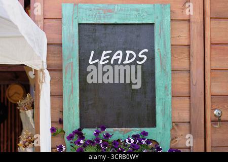 Lead generation, analysis of financial business marketing strategies concept,LEADS written on Charming wooden wall with a turquoise-framed chalkboard. Stock Photo