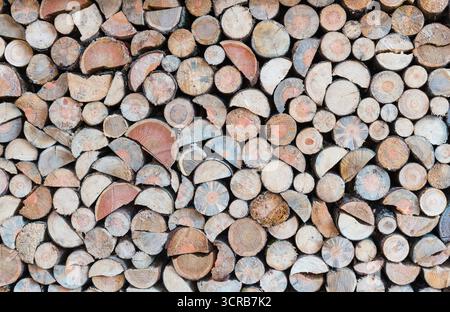 Closeup various logs from cut raw wood in firewood stockpile. Abstract background with mosaic pattern from stacked wooden blocks parts. Fuel to winter. Stock Photo