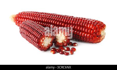 Ripe red corn cobs isolated on white Stock Photo