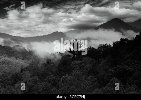 Dramatic black and white tone on the Smoky Mountain range in North Carolina Stock Photo