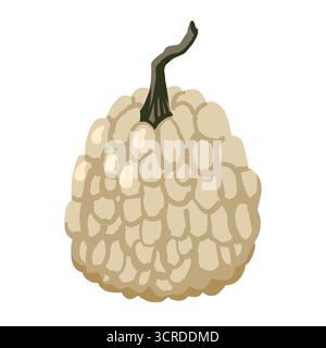 Fall warty pumpkin in gray tones, Flat vector illustration for Thanksgiving cards, autumn pattern, and seasonal festive designs for textile, wrapping, Stock Vector