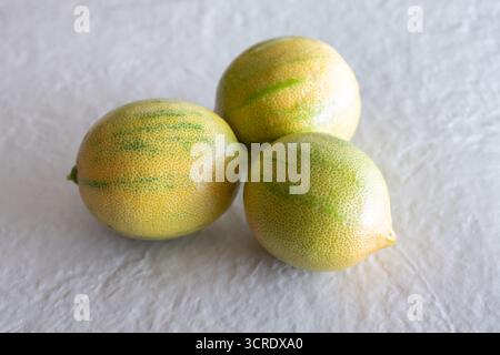 A view of three whole Variegated pink lemons. Stock Photo