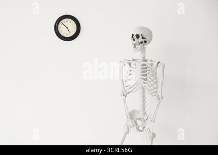 Human skeleton model near clock on light wall Stock Photo