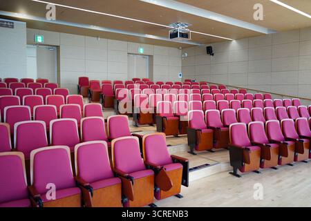 Empty Conference Hall Auditorium with Red Chairs Stock Photo