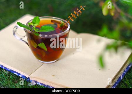 Healthy tea with fresh Tulsi (Indian Basil) leaves Stock Photo