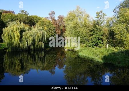 The Mill Pond at Grantchester, near Cambridge, UK, on a sunny late September day, with trees reflections in the water Stock Photo
