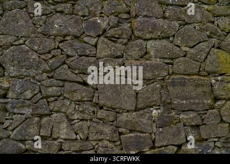 A detailed close up view of a stone wall featuring moss growing on it Stock Photo