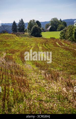 Hillock landscape hi-res stock photography and images - Alamy
