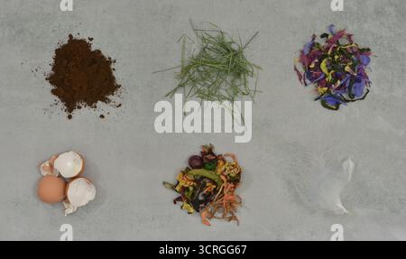 Composting education, part two. Ingredients for green compost layer. Stock Photo