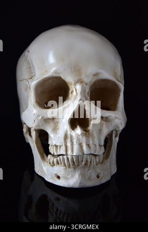 Human skull front closeup isolated on black Stock Photo
