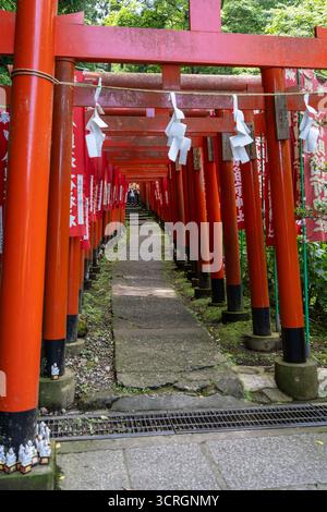 Red torii gates and fluttering banners line a peaceful path through the ...