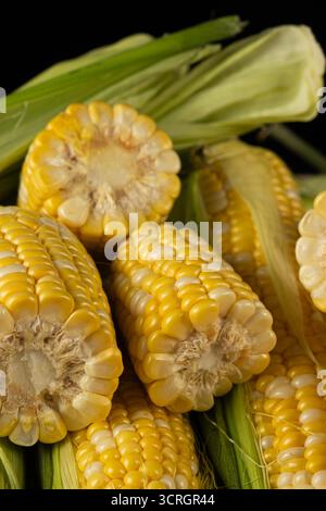 Close-up view of fresh raw corn cobs ready for cooking Stock Photo