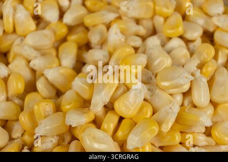 Close-Up Of Fresh Corn Kernels Texture From Above Stock Photo