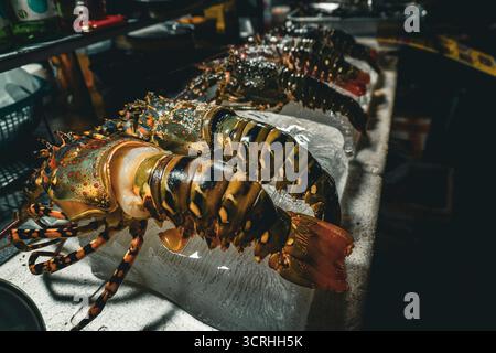 Lobsters on ice in the market Stock Photo