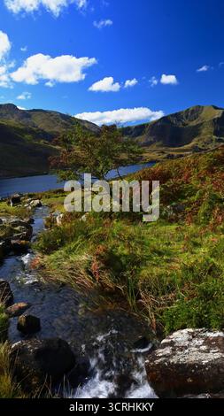 Landscape in the Eryri National Park with Llyn Ogwen, the Glyder mountains and Y Garn with foreground stream, blue sky and light cloud. Stock Photo