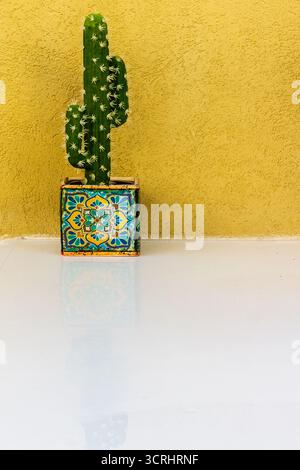 Cactus in Colorful Decorative Pot Against Bright Yellow Wall for Vibrant Home Decor Stock Photo