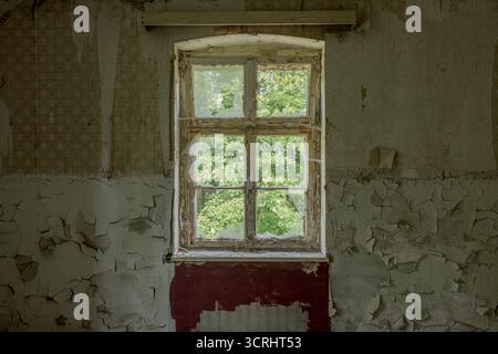 Old Window in Abandoned House with Peeling Paint and View of Green Trees – Urban Decay meets Nature Fine Art Photography Stock Photo