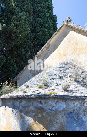 Rustic ruin scene featuring a sunlit, weathered wall and sloped roof, with hardy weeds growing through cracks. Tall evergreen trees provide a dramatic Stock Photo