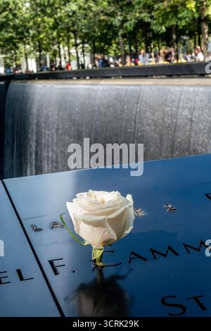 Memorial Rose Blossom marking a name at the World Trade Center footprint pool of victims of 911, 2025, New York City, USA Stock Photo