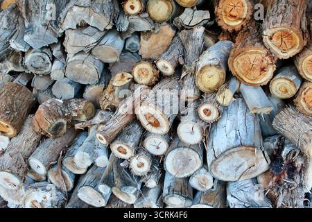 Cut logs stacked neatly in the wood store at a High Country property in Victoria, Australia Stock Photo