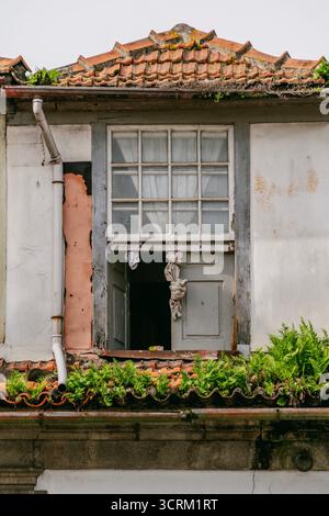 Close-up of a rustic, weathered window on an old residential building with a terracotta tiled roof and ferns growing on the ledge in Porto, Portugal Stock Photo