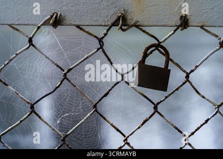 Rusty padlock hanging on a weathered chain link fence with spider webs. Stock Photo