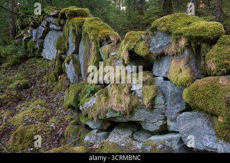 Old mossy wall, made of field stones, intended as a separation between plots of land Stock Photo