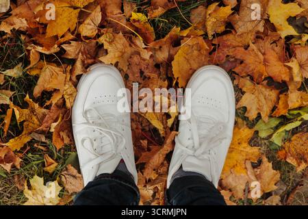 Male legs in jeans and white shoes on colorful fallen leaves. Top view. Stock Photo
