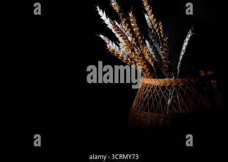 Wheat ears golden and silver in a basket on a dark background Stock Photo