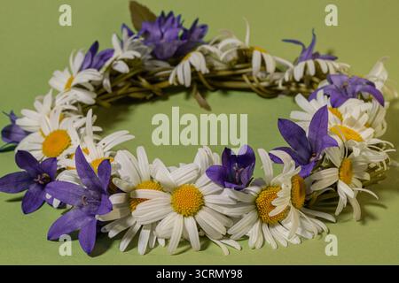 Daisy and violet flowers wreath on green background Stock Photo