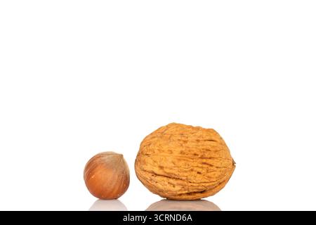 Unpeeled hazelnuts and walnuts, macro, isolated on white background. Stock Photo