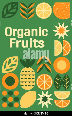 Abstract geometric fruit pattern. Shapes of natural organic flower plants, eco-agriculture citrus. Vector illustration Stock Vector