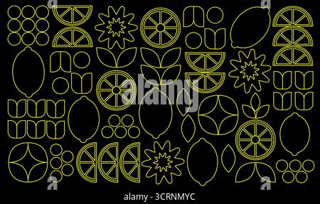 Abstract geometric fruit pattern. Shapes of natural organic flower plants, eco-agriculture citrus. Vector illustration Stock Vector