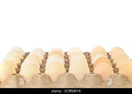 A tray of eggs is sitting on a white background. The eggs are all different sizes and colors, and they are arranged in a neat row Stock Photo