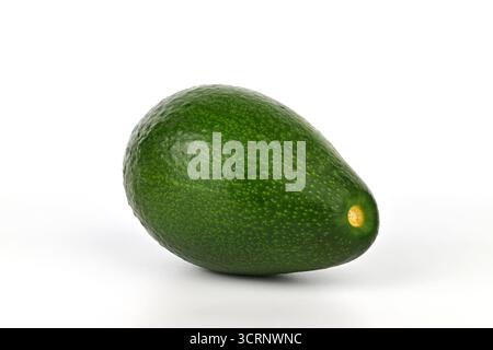 A green avocado sits on a white background. The avocado is unpeeled and unopened. Concept of freshness and naturalness, as the avocado is a simple, un Stock Photo