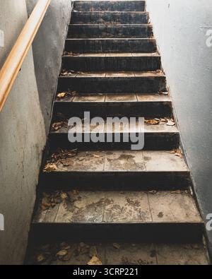 fallen leaves on a narrow outdoor stone staircase  with gray ceramic tiles Stock Photo