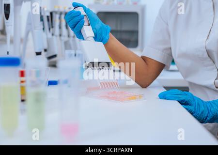 Female lab researcher using a multichannel pipette to fill microplate during the medical clinical analysis. Stock Photo