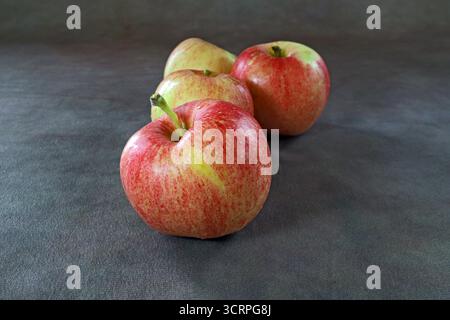 Ripe Mcintosh apples ready for eating from a small farm in Bend, Oregon, in the autumn. Stock Photo